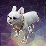 Avatar of Pardon Thy French