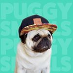 Avatar of Puggy Smalls